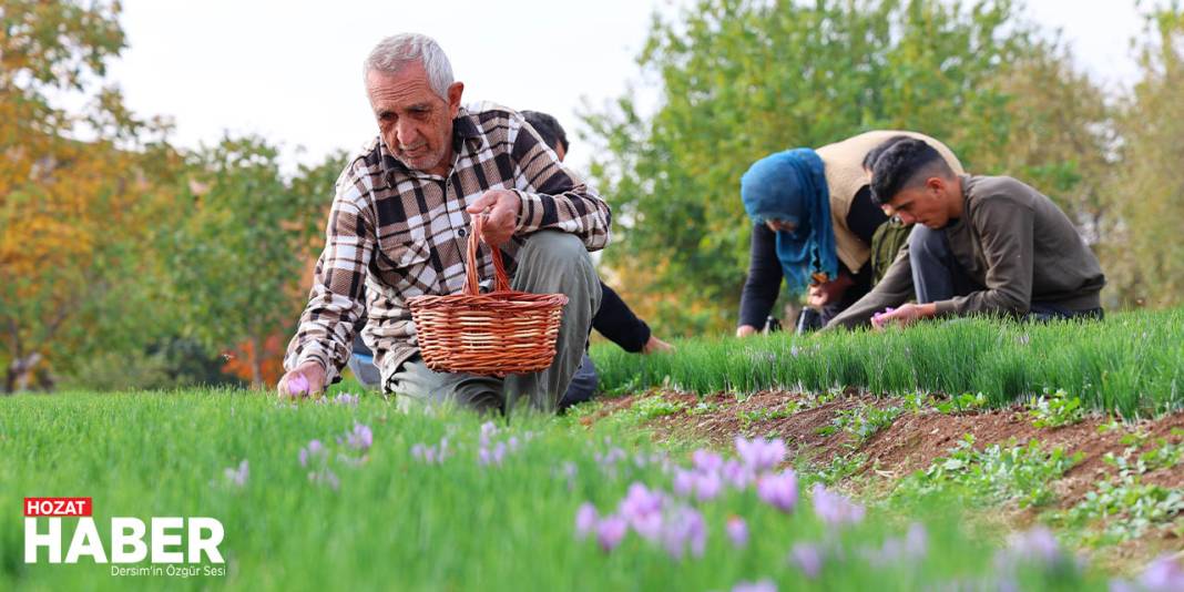 Deneme Amaçlı Başladı, kilosu 200 Bin Liraya Satılıyor 3